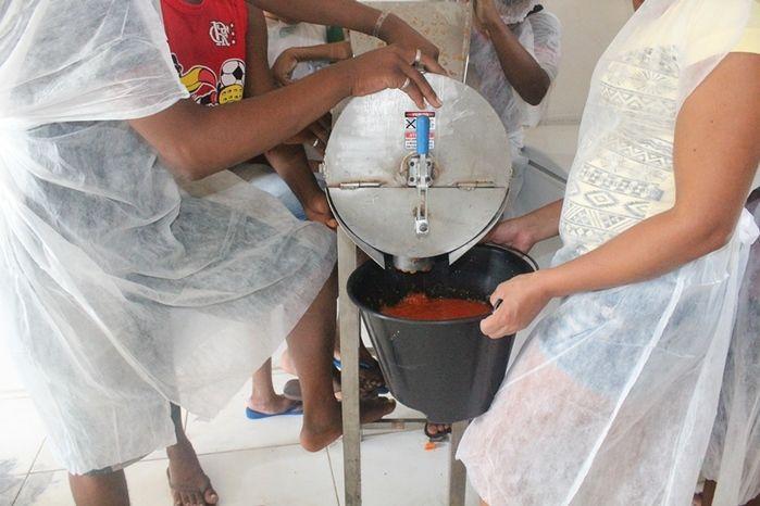 Curso de Capacitação de Polpa Congelada em Vila Zé Paulino - Imagem 7