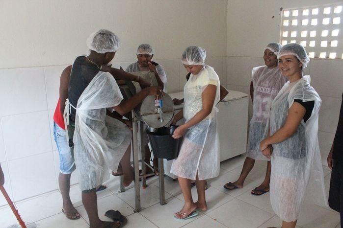 Curso de Capacitação de Polpa Congelada em Vila Zé Paulino - Imagem 4