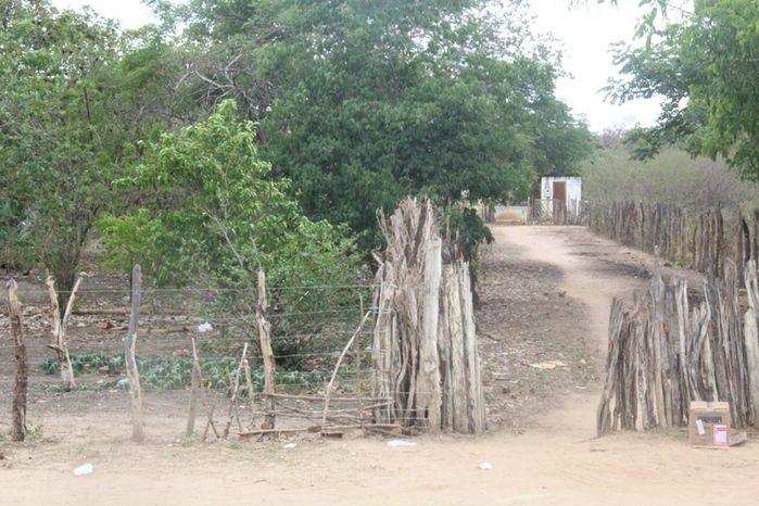 Curso de Capacitação de Polpa Congelada em Vila Zé Paulino - Imagem 19