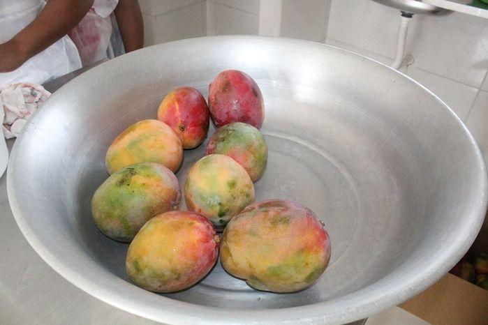 Curso de Capacitação de Polpa Congelada em Vila Zé Paulino - Imagem 14