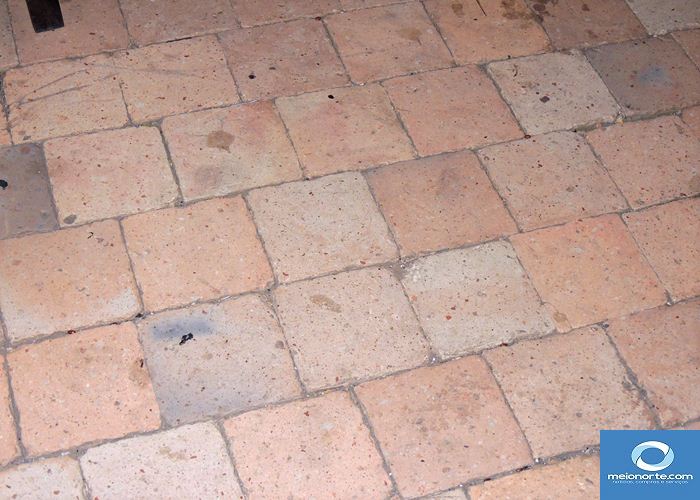 Precariedade retrata descaso da gestão passada com a agricultura - Imagem 16