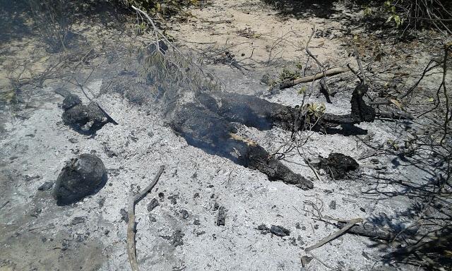 População mata, decepa cabeça e ateia fogo no corpo de assassino de jovem em Tutóia - MA (Crédito: Reprodução/ blog do Neto Pimentel)