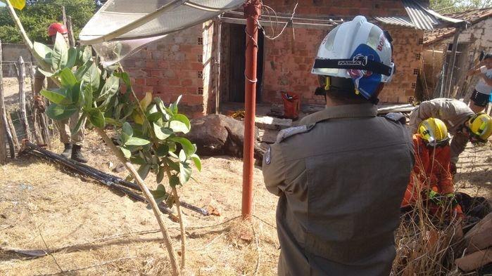 Animal morreu após a queda (Crédito: Kairo Amaral)