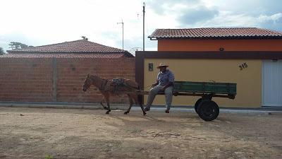 “Da carroça para a universidade” - Imagem 1