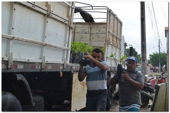 Prefeito Silva Júnior e o Secretário Erivan desenvolvem ações - Imagem 4