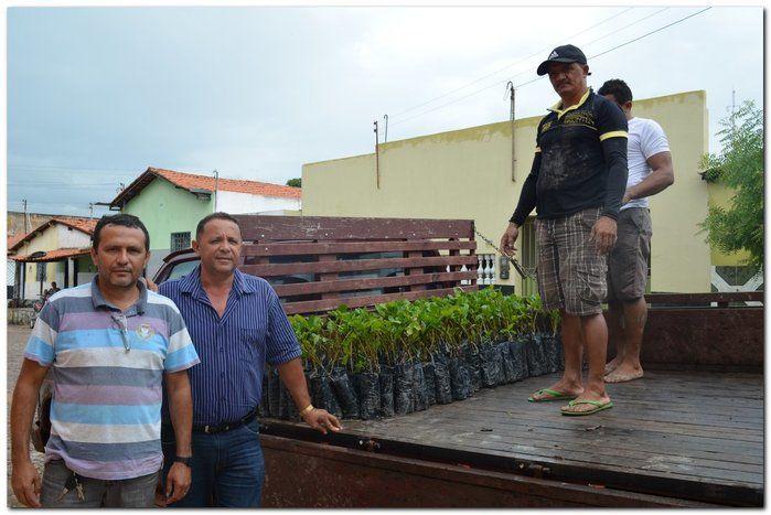 Prefeito Silva Júnior e o Secretário Erivan desenvolvem ações - Imagem 5