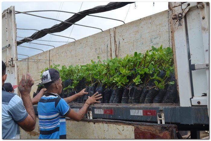 Prefeito Silva Júnior e o Secretário Erivan desenvolvem ações - Imagem 3