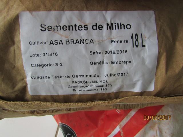 Dr.Zé Maria Distribui Sementes de MIlho - Imagem 9