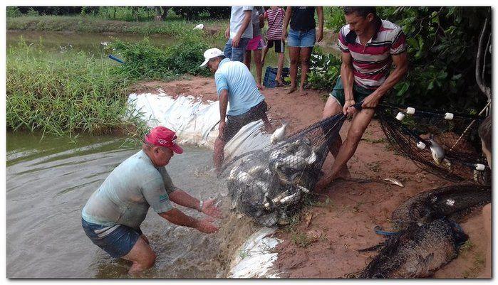 Famílias do Município de Inhuma recebem Cestas com Alimentos - Imagem 25