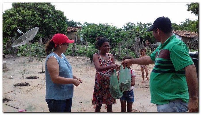 Famílias do Município de Inhuma recebem Cestas com Alimentos - Imagem 43