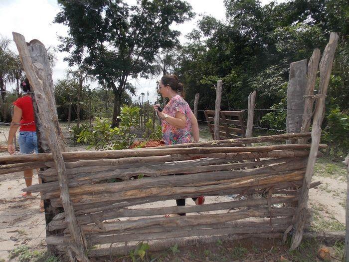 Casal vive em situação sub humana em zona rural. - Imagem 1