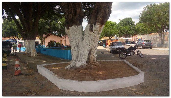 Prefeitura de Inhuma realiza serviço de conservação das Praças - Imagem 5