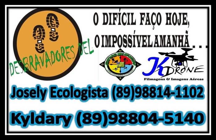 Secretaria de Assistência Social realiza homenagem para as mulheres - Imagem 6