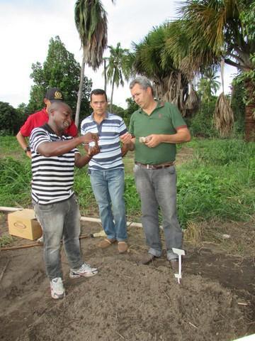 Prefeitura de Ipiranga Realiza Parceria Para Produção de Alho - Imagem 37