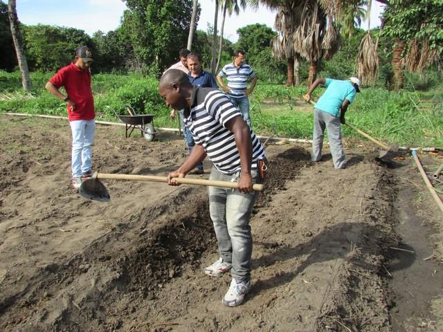 Prefeitura de Ipiranga Realiza Parceria Para Produção de Alho - Imagem 28