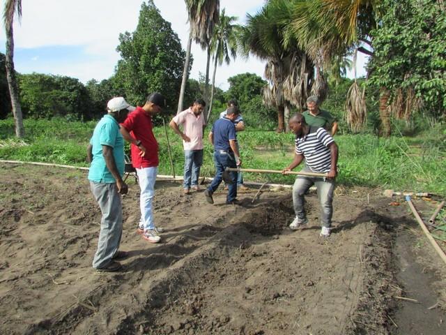 Prefeitura de Ipiranga Realiza Parceria Para Produção de Alho - Imagem 26