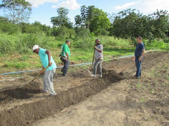 Prefeitura de Ipiranga Realiza Parceria Para Produção de Alho - Imagem 30