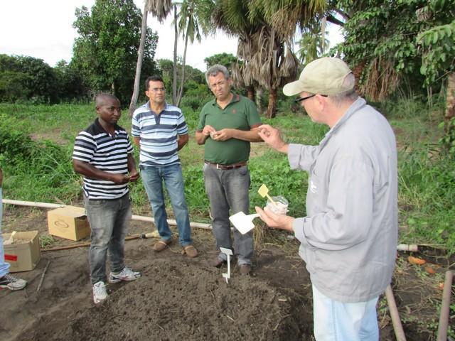 Prefeitura de Ipiranga Realiza Parceria Para Produção de Alho - Imagem 38