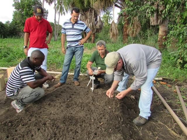 Prefeitura de Ipiranga Realiza Parceria Para Produção de Alho - Imagem 41