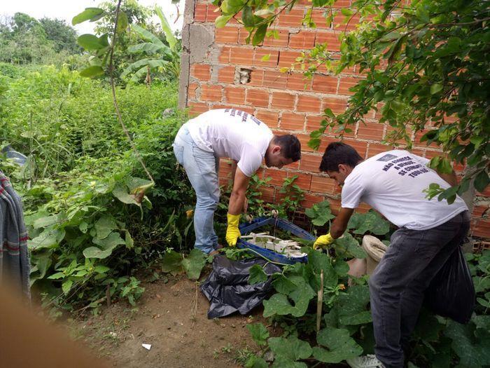 Equipes recolheram lixo com acúmulo de água