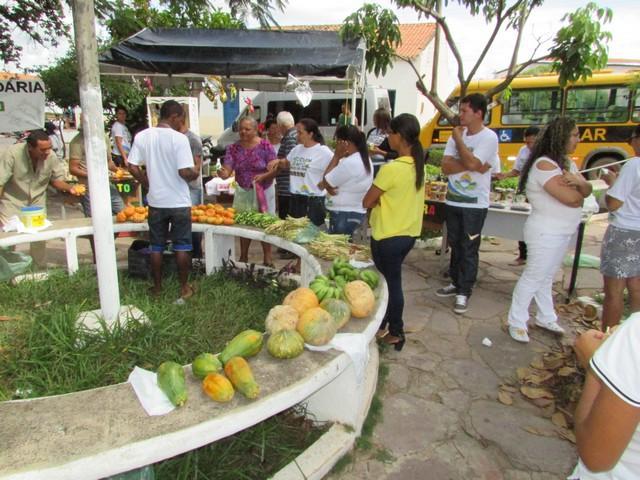 I Feira Solidária Projovem Campo Foi Realizada em Ipiranga - Imagem 1