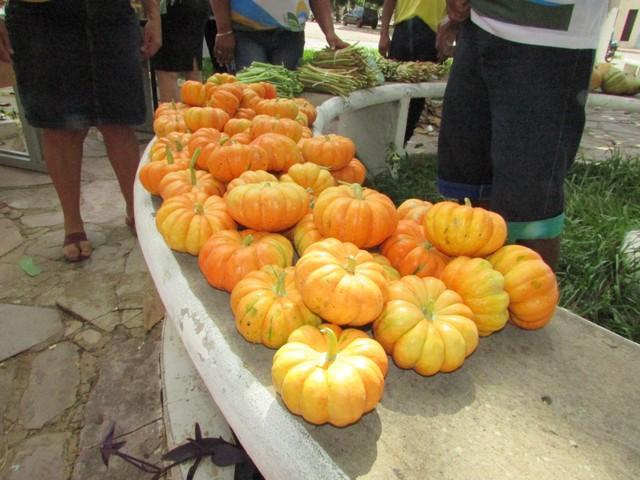 I Feira Solidária Projovem Campo Foi Realizada em Ipiranga - Imagem 9