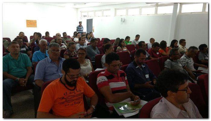 Prefeito de Inhuma participa de plenária realizada por Secretaria - Imagem 4