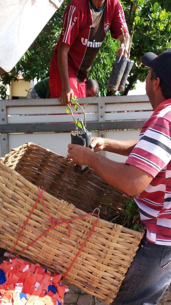 Entrega de sementes e mudas para agricultores locais - Imagem 8