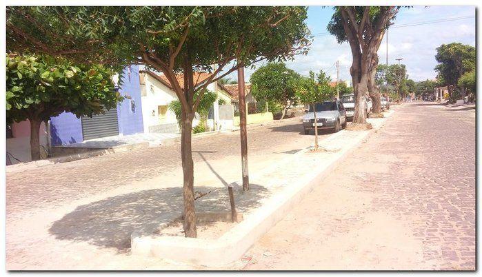 Avenida Castelo Branco passa por reforma e podagem  - Imagem 15