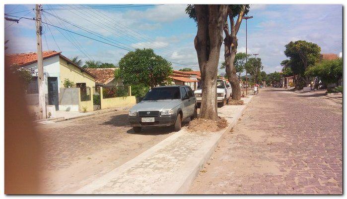 Avenida Castelo Branco passa por reforma e podagem  - Imagem 14