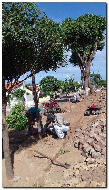 Avenida Castelo Branco passa por reforma e podagem  - Imagem 5