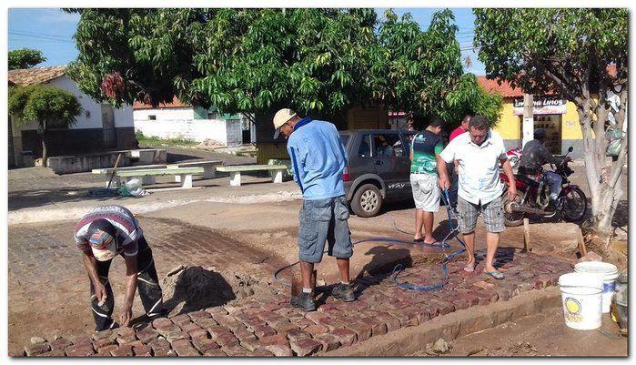 Avenida Castelo Branco passa por reforma e podagem  - Imagem 4