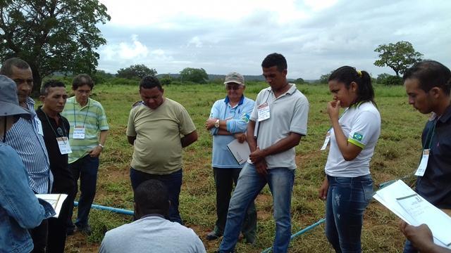Secretário de Agricultura e EMATER de DEL participam de capacitação - Imagem 80
