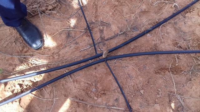 Secretário de Agricultura e EMATER de DEL participam de capacitação - Imagem 157