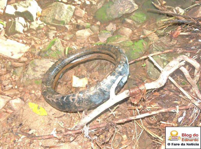 Município realiza roço e recolhe lixo no Pirapora - Imagem 11