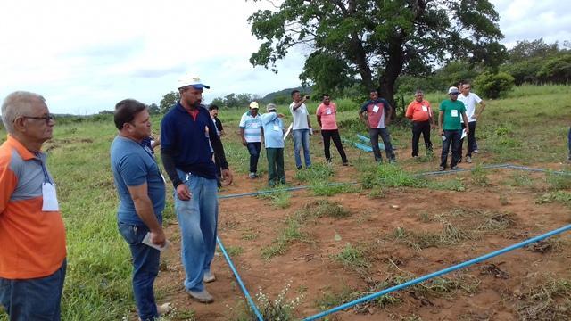 Secretário de Agricultura e EMATER de DEL participam de capacitação - Imagem 59