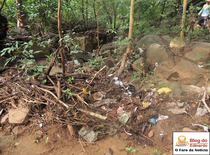 Município realiza roço e recolhe lixo no Pirapora - Imagem 16