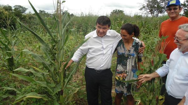 Governador Wellington Dias visita Santo Inácio do Piauí   - Imagem 15