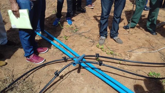 Secretário de Agricultura e EMATER de DEL participam de capacitação - Imagem 154