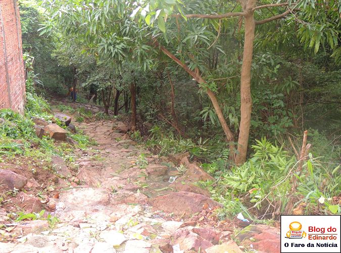 Município realiza roço e recolhe lixo no Pirapora - Imagem 4