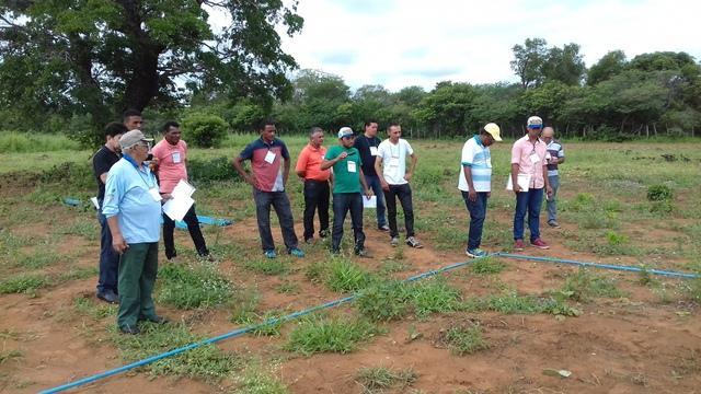 Secretário de Agricultura e EMATER de DEL participam de capacitação - Imagem 60