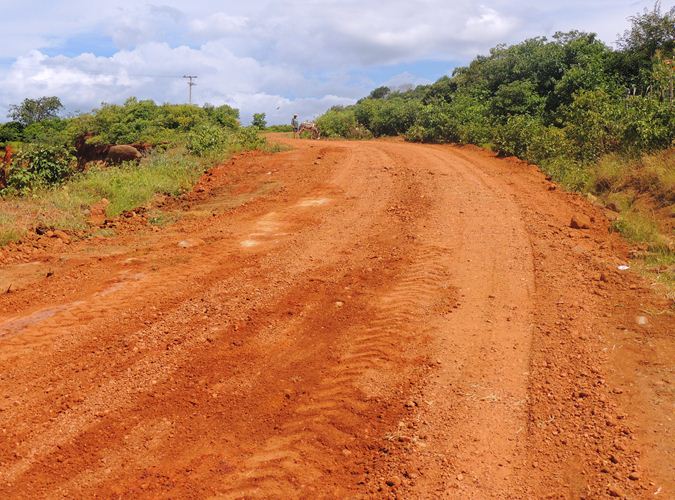 Município recupera estradas da zona rural de Pedro II - Imagem 8