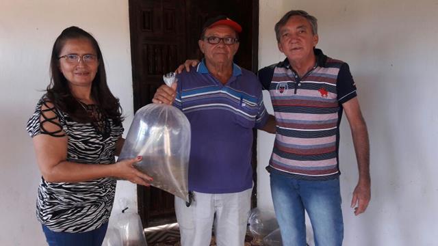 Prefeitura de Pimenteiras e SDR distribuem alevinos  - Imagem 5