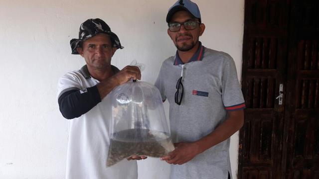 Prefeitura de Pimenteiras e SDR distribuem alevinos  - Imagem 11