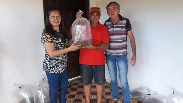 Prefeitura de Pimenteiras e SDR distribuem alevinos  - Imagem 10