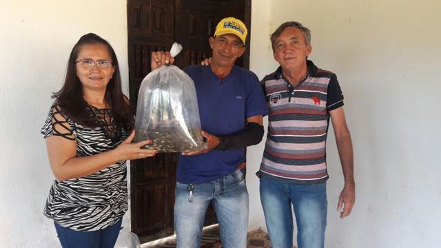 Prefeitura de Pimenteiras e SDR distribuem alevinos  - Imagem 9