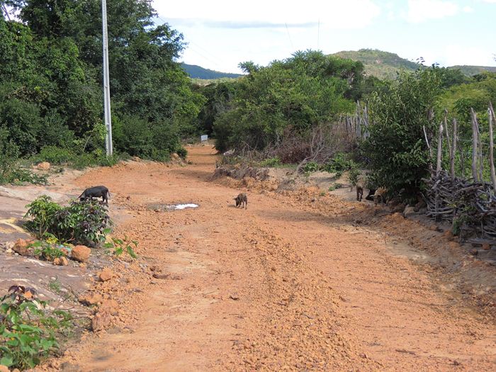 Município intensifica recuperação de estradas vicinais  - Imagem 36