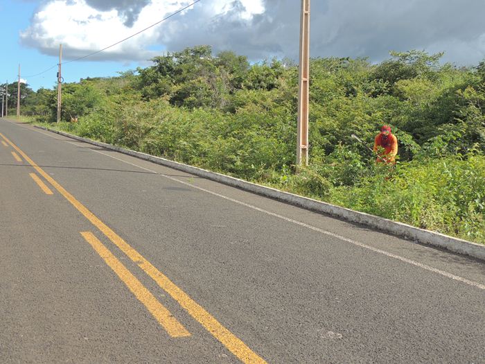Município intensifica  limpeza nos bairros e comunidades rurais  - Imagem 15