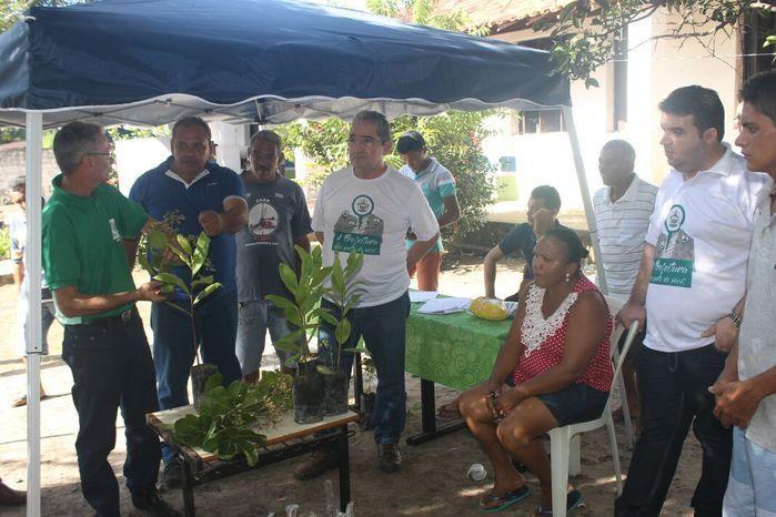 Mais de 80 mudas de árvores foram distribuídas