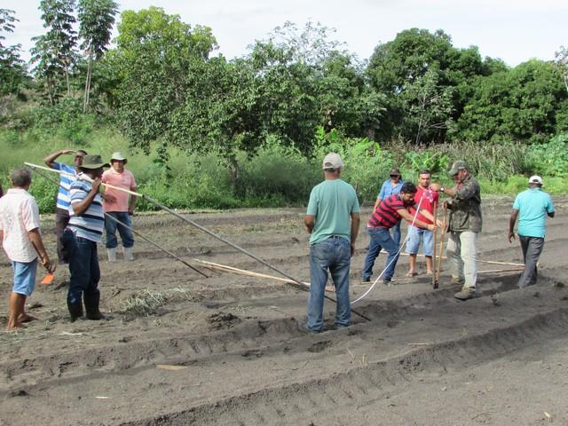 Projeto de Revitalização do Alho Realizou Capacitação - Imagem 65